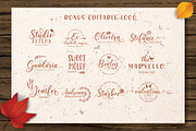 Magic Winter - Modern Calligraphy, a Script Font by Almeera Std (Thumbnail 5 of 11)
