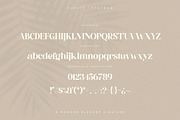 Purity - Modern Ligature Font, a Serif Font by TypeFounder (Thumbnail 11 of 11)
