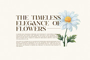 Galins Modern Serif Font, a Serif Font by Perfectype (Thumbnail 2 of 8)