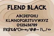 Flend, a Sans Serif Font by Digital Typeface Studio (Thumbnail 3 of 11)