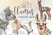 Llama Clipart Watercolor Llamas, an Animal Illustration by Maria B. Paints (Thumbnail 1 of 4)