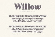 Willow. Typeface Bold Serif, a Serif Font by Kleffont Studio (Thumbnail 10 of 10)