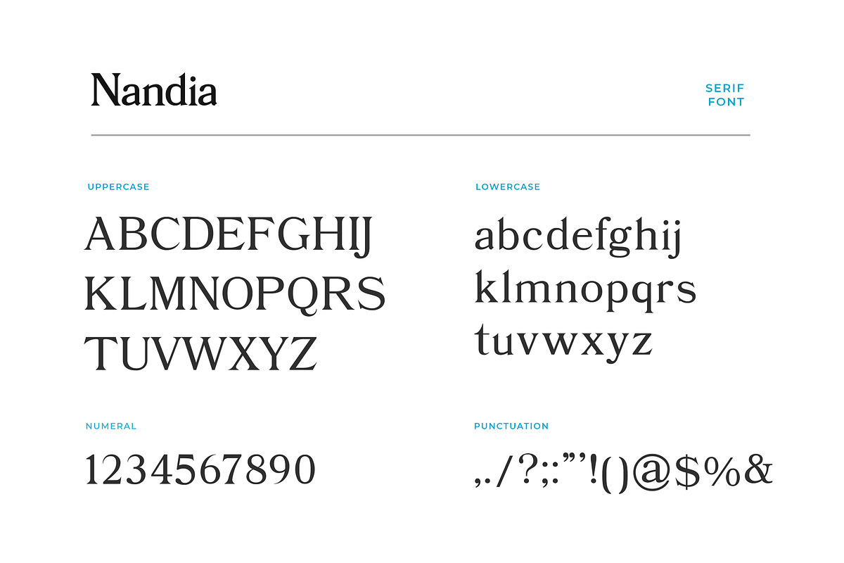 Nandi Modern Serif Font, a Serif Font by UICreative (Photo 5 of 5)