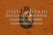 Meladu Rose Stylish Font, a Serif Font by Storytype Studio (Thumbnail 30 of 30)