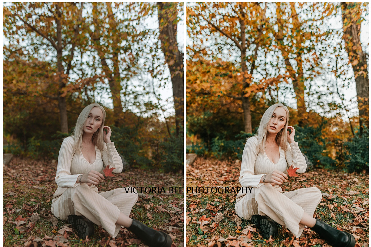 FALL LIGHTROOM PRESETS BRIGHT AUTUMN, a Preset Add-On by Victoria Bee Presets (Photo 9 of 9)