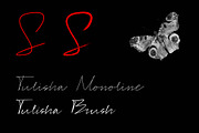 Tulisha | Monoline & Brush Script, a Script Font by Jadatype.id (Thumbnail 3 of 7)