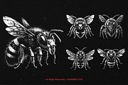10 Bundle Dark Art Bumble Bee Skull, an Illustration by Morspective (Thumbnail 5 of 7)