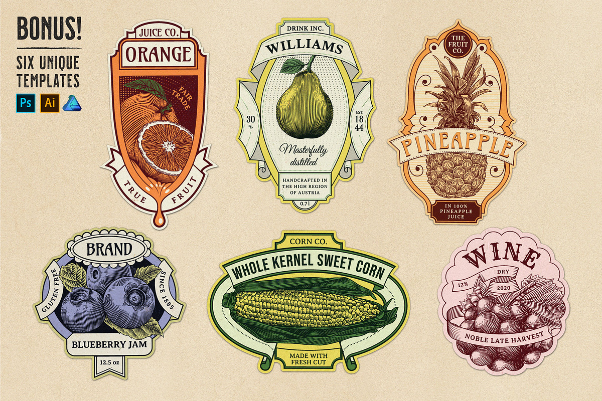 Fruits and Vegetables Illustrations, an Illustration by Heritage Type Co. (Photo 5 of 8)