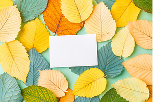 Blank card surrounded by colorful, a Nature Photo by Lermont51