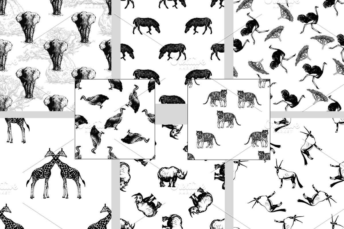 Wild Animals 3, an Animal Illustration by Ecaterina Sciuchina (Photo 5 of 5)
