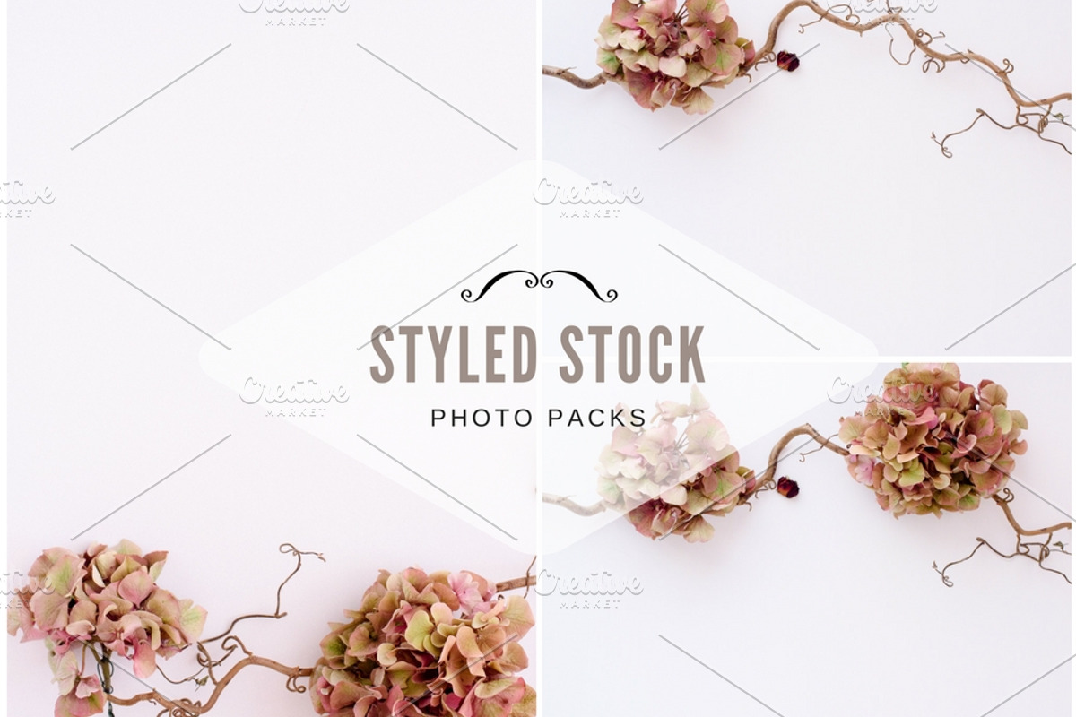 Pack 32 i styled stock stock photo containing minimalist and succulents, a Business Photo by SophieStockBoutique (Photo 1 of 4)