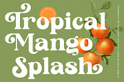 Sunday Ginger Vintage Serif, a Serif Font by timelesstype.co (Thumbnail 5 of 20)