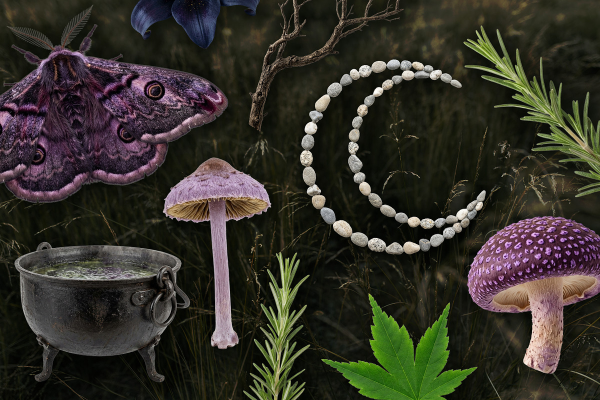 Witch's Magic Garden Collage Kit, an Object Illustration by Vicccky (Photo 8 of 9)