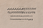 Northwick Cursive Handwritten Script, a Script Font by gracetype_studio (Thumbnail 12 of 12)
