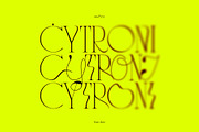 CYTRONI Modern Mix Font Duo, a Serif Font by ana & yvy (Thumbnail 3 of 34)