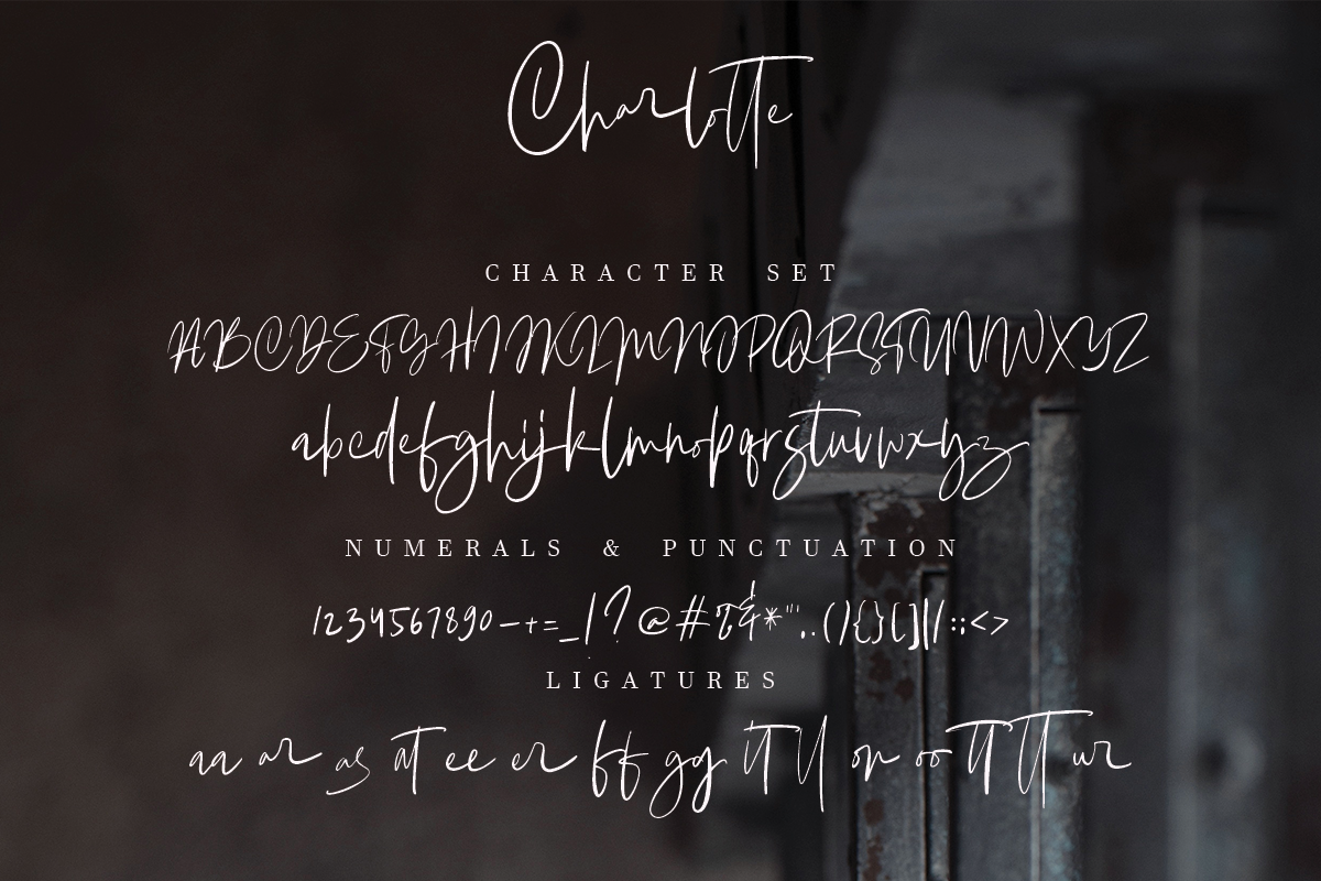 Charlotte | Handwritten Font, a Script Font by Megi Satyo Widodo (Photo 9 of 9)