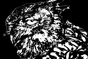 Isolated graphic of brow owl head, an Animal Photo by DanFLCreativo