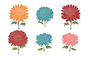 Chrysanthemum flowers vector, an Object Illustration by Alena Stoyko design