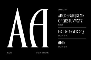 Bargonde Elegant Serif Condensed