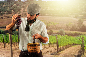 Farmer harvesting grapes in vineyard with hoe and basket, a Person Photo by Antonio Gravante Market