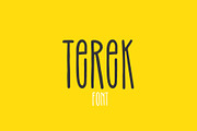 Terek font, a Script Font by Visio studio (Thumbnail 1 of 11)