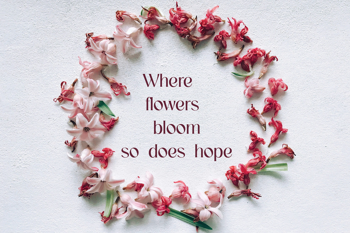 Mirezio | Sophisticated Modern Serif, a Serif Font by Artdez (Photo 2 of 5)