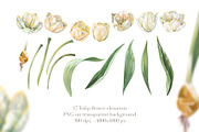 Tulips Spring Garden, watercolor set, an Illustration by Shabbypie (Thumbnail 3 of 12)