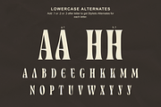 Zewyolk - Bold Condensed Display, a Serif Font by Glyphofik x Krafta (Thumbnail 7 of 12)