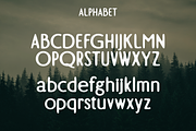 Charvine - A Modern Display Font, a Handwritten Font by Marvadesign (Thumbnail 4 of 5)
