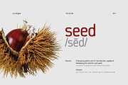 sE—Khafr, a Sans Serif Font by silukEight (Thumbnail 2 of 10)
