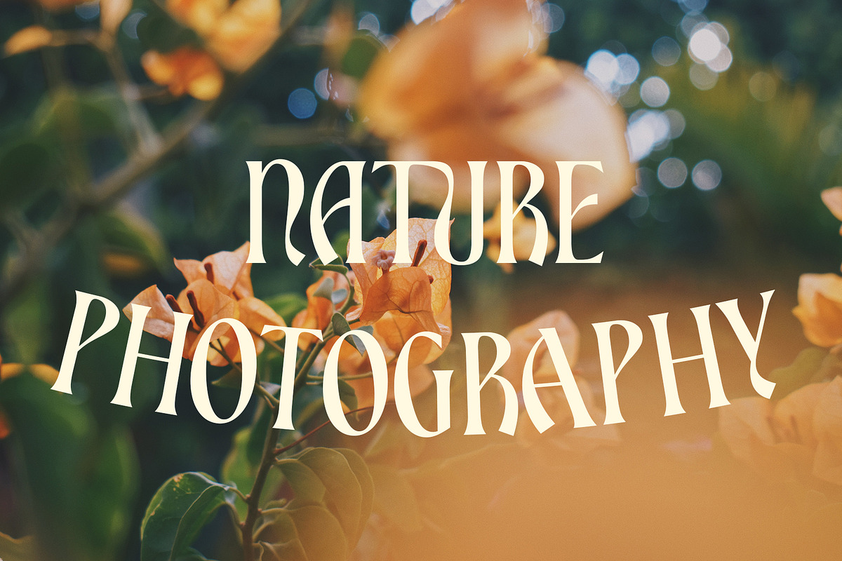 ED Bienova - Display Serif, a Serif Font by Emyself Design (Photo 10 of 12)