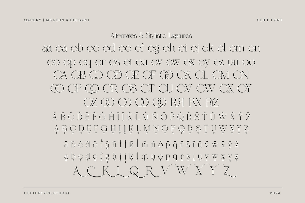 Qareky a Modern & Elegant Serif, a Serif Font by Lettertype Studio (Photo 8 of 20)