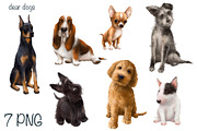 Dog breeds collection, an Animal Illustration by sheincar (Thumbnail 2 of 4)
