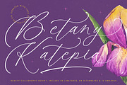 Betany Katepia Beauty Calligraphy, a Script Font by stylishtype.co (Thumbnail 1 of 20)