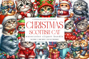 Christmas Scottish Cat Clipart PNG, an Illustration by SinaCreation
