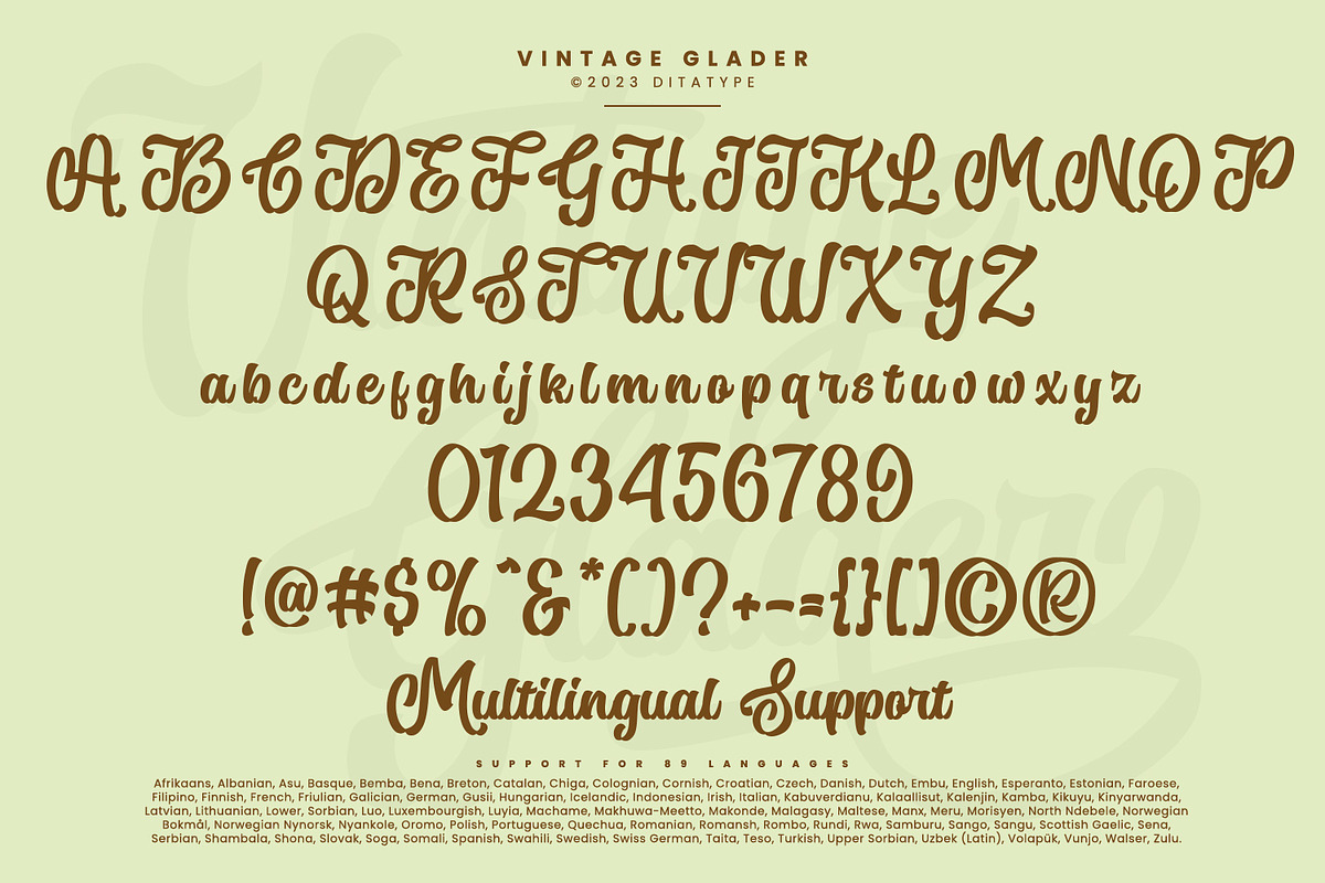 Vintage Glader, a Script Font by Ditatype (Photo 7 of 10)