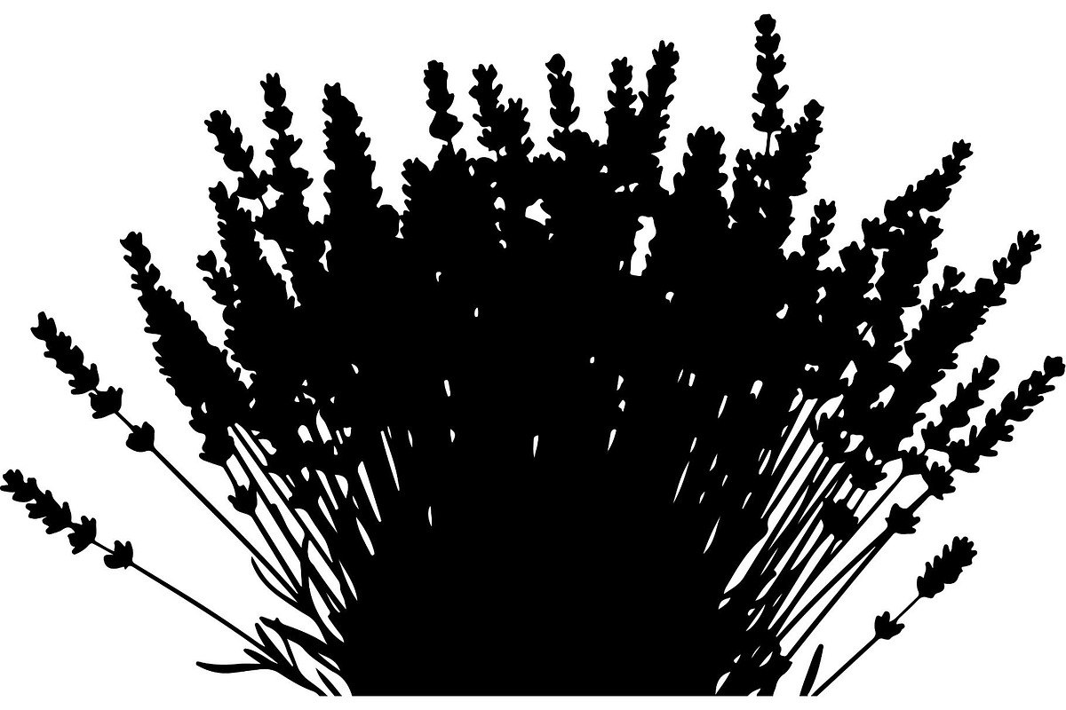 Lavender Flower Silhouette, an Object Graphic by Designer_Momina (Photo 17 of 20)