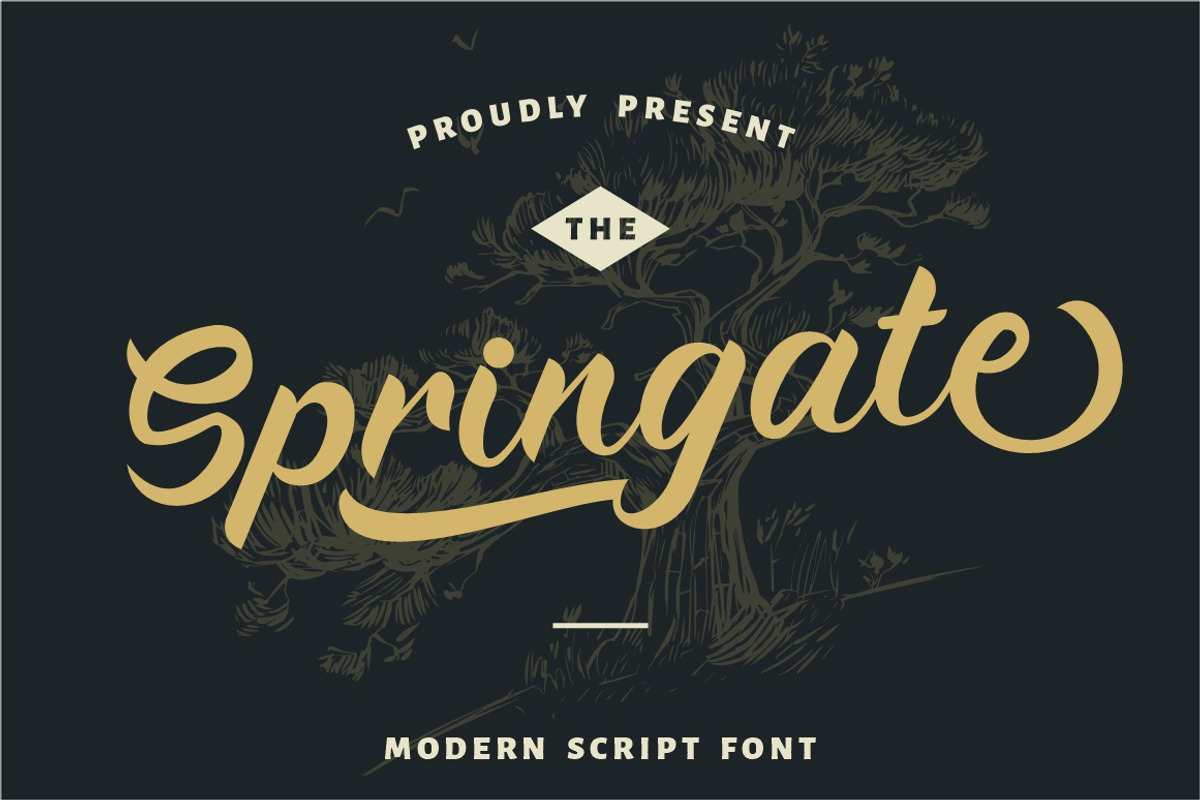 Springate - Modern Script Font, a Script Font by PutraCetol Studio (Photo 1 of 9)