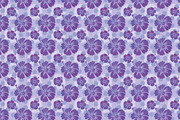 Hibiscus flower and patterns, an Illustration by natsa (Thumbnail 5 of 6)