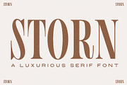 STORN A Stylish Uppercased Serif, a Serif Font by Prestige Artsy Studio (Thumbnail 1 of 9)