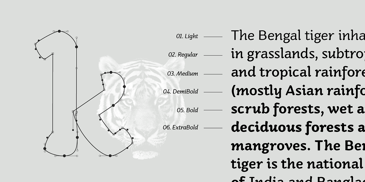 Kamado, a Sans Serif Font by Hashtag Type (Photo 2 of 9)
