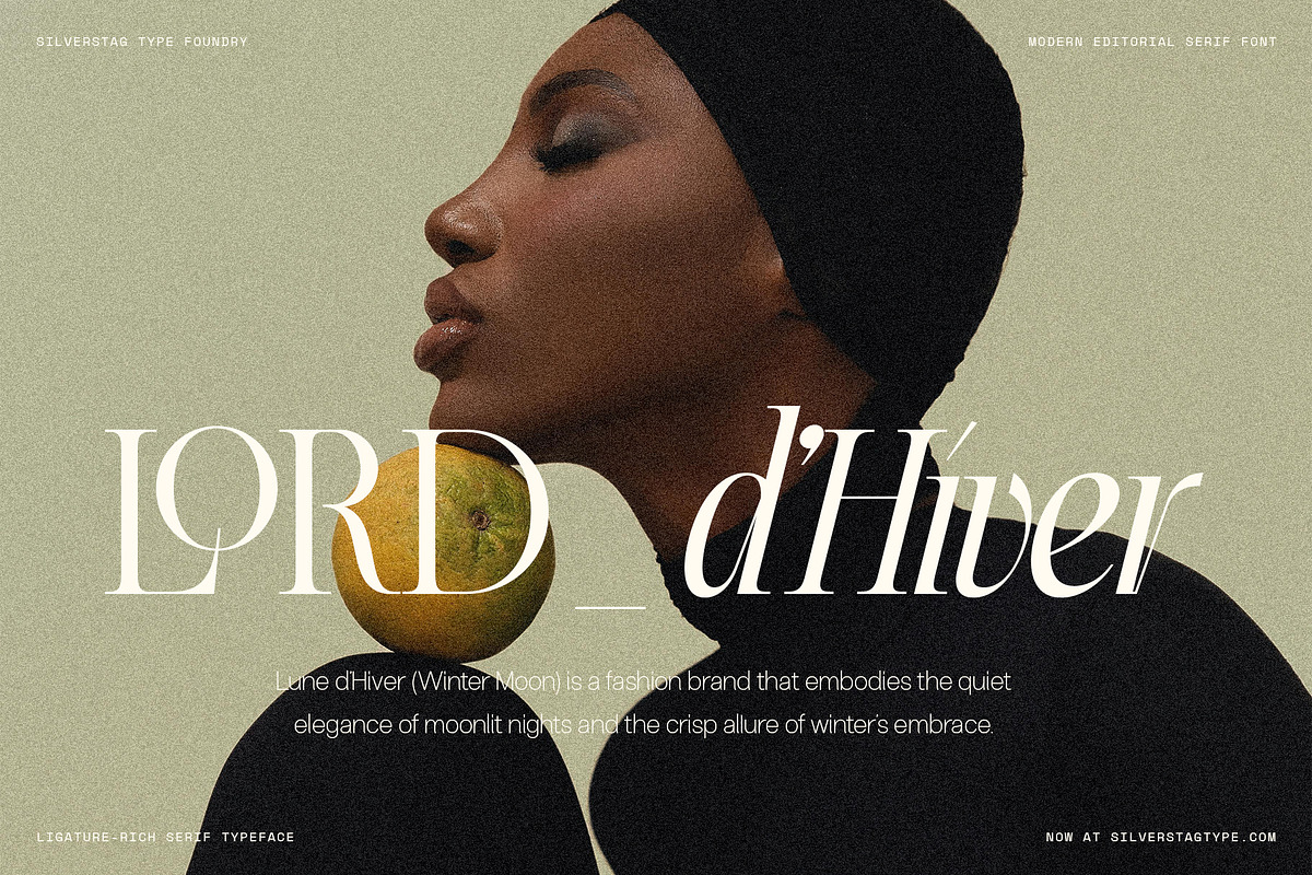 The Elfkin Editorial - Modern Serif, a Serif Font by SilverStag Type Foundry (Photo 2 of 20)