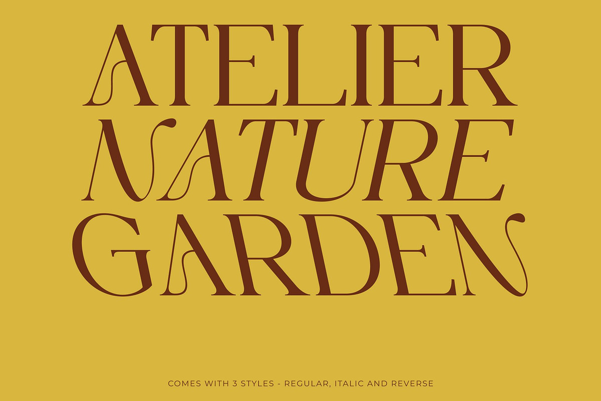 CS Nevada – Art Nouveau Font, a Serif Font by Craft Supply Co. (Photo 3 of 8)
