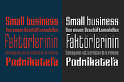 Enza Expanded Family - 80% OFF!, a Sans Serif Font by Neo Type Foundry (Thumbnail 9 of 10)