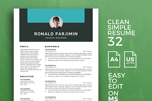 Resume Template 32