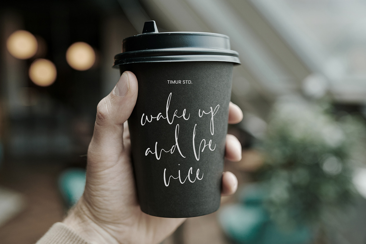 Villary Wisdom Font preview 3