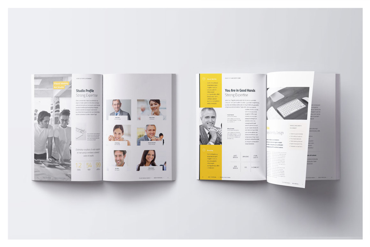 Quick Proposal 007 - The Essentials preview 4