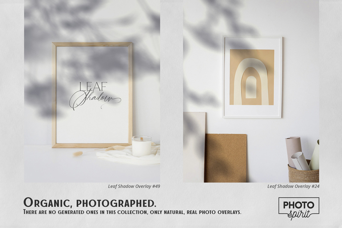 Leaf Shadow Overlays, an Action Add-On by PhotoSpirit (Photo 3 of 8)