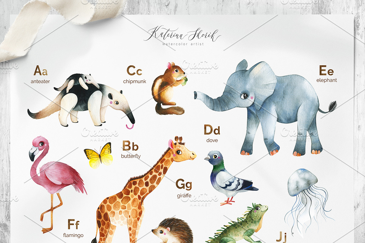 English Animal Alphabet. A to Z, an Animal Illustration by Kate_Rina (Photo 2 of 7)