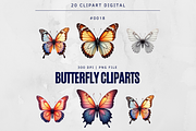 21 Butterfly Clipart Design Digital, an Illustration by Wilin Digital (Thumbnail 1 of 2)